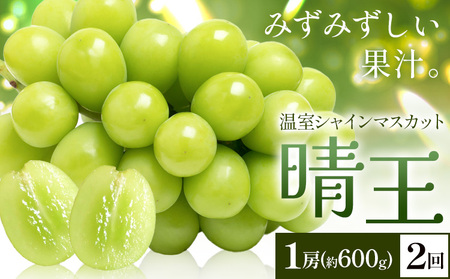 y2026Ns\zVC}XJbg   1[(600g) 2񂨓͂ VC }XJbgs2026N7{-8{oׁtTʁ@(RsX(xmH L)) 