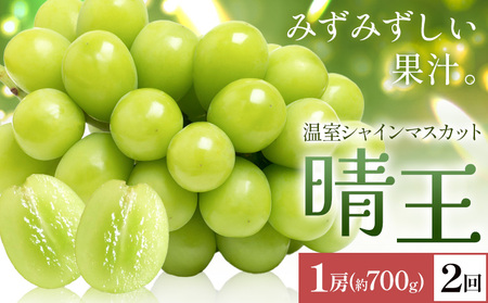 y2026Ns\zVC}XJbg   1[(700g) 2񂨓͂ VC }XJbgs2026N7{-8{oׁtTʁ@(RsX(xmH L)) 