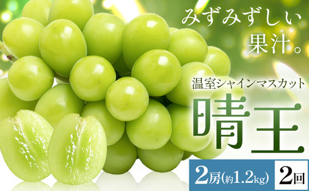 y2026Ns\zVC}XJbg   2[(v1.2kg) 2񂨓͂ VC }XJbgs2026N7{-8{oׁtTʁ@(RsX(xmH L))