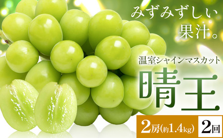 y2026Ns\zVC}XJbg   2[(v1.4kg) 2񂨓͂ VC }XJbgs2026N7{-8{oׁtTʁ@(RsX(xmH L))