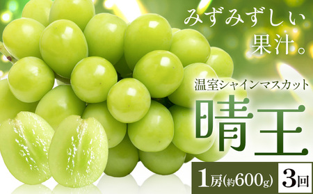 y2026Ns\zVC}XJbg   1[(600g) 3񂨓͂ VC }XJbgs2026N7{-9{oׁtTʁ@(RsX(xmH L)) 