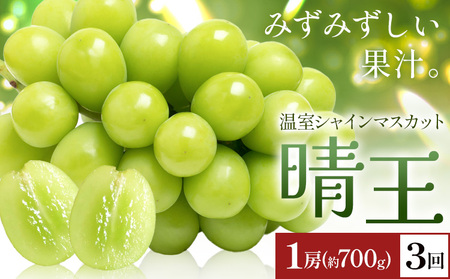 y2026Ns\zVC}XJbg   1[(700g) 3񂨓͂ VC }XJbgs2026N7{-9{oׁtTʁ@(RsX(xmH L)) 