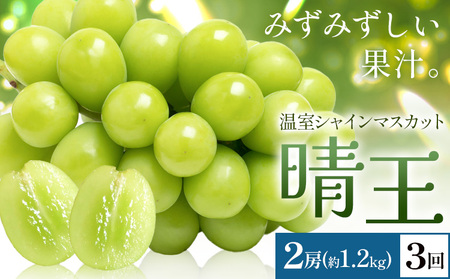 y2026Ns\zVC}XJbg   2[(v1.2kg) 3񂨓͂ VC }XJbgs2026N7{-9{oׁtTʁ@(RsX(xmH L))