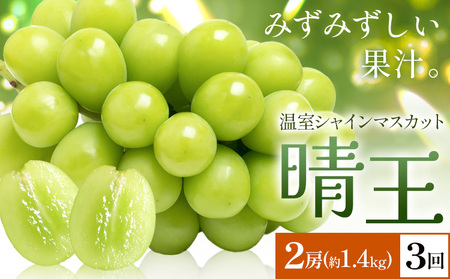 y2026Ns\zVC}XJbg   2[(v1.4kg) 3񂨓͂ VC }XJbgs2026N7{-9{oׁtTʁ@(RsX(xmH L))