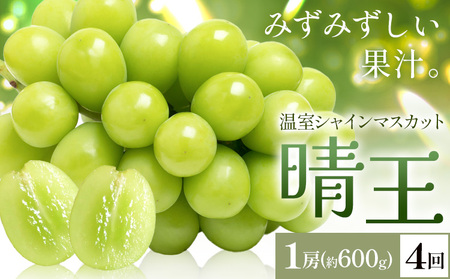 y2026Ns\zVC}XJbg   1[(600g) 4񂨓͂ VC }XJbgs2026N7{-10{oׁtTʁ@(RsX(xmH L)) 