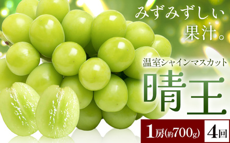 y2026Ns\zVC}XJbg   1[(700g) 4񂨓͂ VC }XJbgs2026N7{-10{oׁtTʁ@(RsX(xmH L)) 