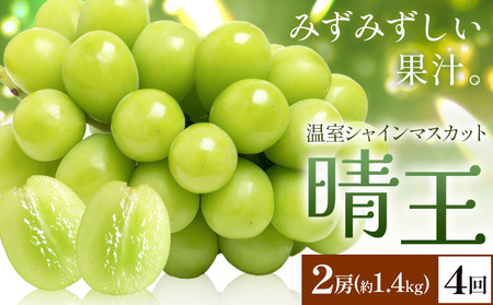 y2026Ns\zVC}XJbg   2[(v1.4kg) 4񂨓͂ VC }XJbgs2026N7{-10{oׁtTʁ@(RsX(xmH L))