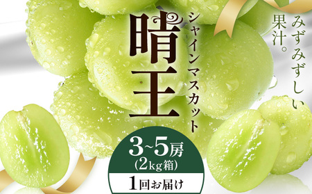 y2026Ns\zVC}XJbg  1񂨓͂ 3-5[(2kg) VC }XJbgs2026N9{-10{oח\t T(RsX(xmHL)) 