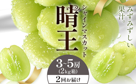 y2026Ns\zVC}XJbg  2񂨓͂ 3-5[(2kg) VC }XJbgs2026N9{-10{oח\t T(RsX(xmHL)) 