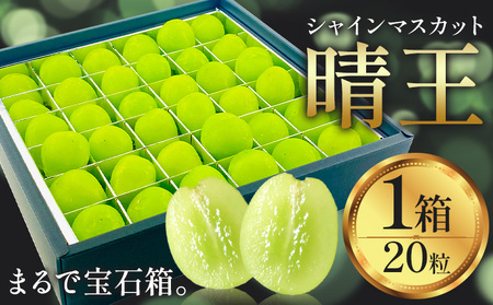 y2026Ns\zVC}XJbg  20 VC }XJbgs2026N9{-10{oח\tTʁ@(RsX(xmH L))  R 