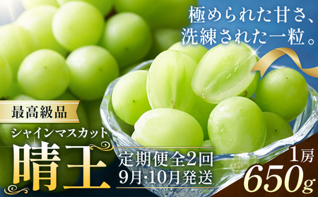 y2026Ns\zVC}XJbg  2  650g(1[)×2񂨓͂ ōi VC }XJbgs2026N9{-10{oח\t T(RsX(xm