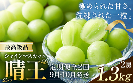 y2026Ns\zVC}XJbg  2  1.3kg(2[)×2񂨓͂ ōi VC }XJbgs2026N9{-10{oח\t T(RsX(xm