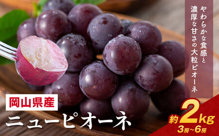 �y��s�\��z ���R���Y �j���[�s�I�[�l�l���� �I�ׂ� �v 2kg ������Ђ͂���s6�����{�]7�����{���o�ׁt���������y�z���s�n�悠��z