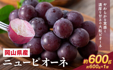 [先行予約] 岡山県産 ニューピオーネ詰合せ 選べる 計 600g 株式会社はちや[8月下旬‐9月下旬頃出荷]送料無料[配送不可地域あり]