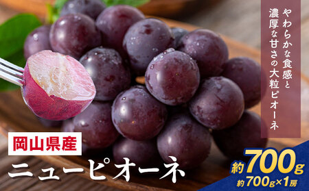 �y��s�\��z ���R���Y �j���[�s�I�[�l�l���� �I�ׂ� �v 700g ������Ђ͂���s8�����{�]9�����{���o�ׁt���������y�z���s�n�悠��z