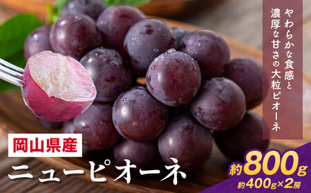 �y��s�\��z ���R���Y �j���[�s�I�[�l�l���� �I�ׂ� �v 800g ������Ђ͂���s8�����{�]9�����{���o�ׁt���������y�z���s�n�悠��z