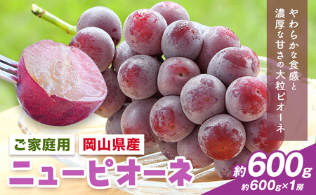 [先行予約]岡山県産 ご家庭用 ニューピオーネ詰合せ 計600g 株式会社はちや[8月下旬-9月下旬頃出荷]送料無料[配送不可地域あり]