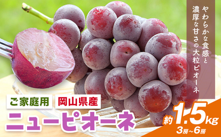 �y��s�\��z���R���Y ���ƒ�p �j���[�s�I�[�l�l���� �v1.5kg ������Ђ͂���s8�����{-9�����{���o�ׁt���������y�z���s�n�悠��z