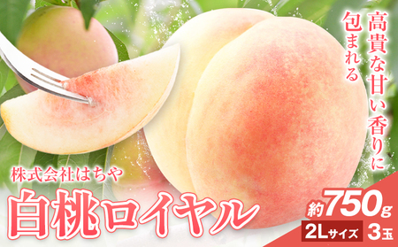 ys\zR  C 750gs7{]8{oׁtR s  ͂ t[c yzsnz