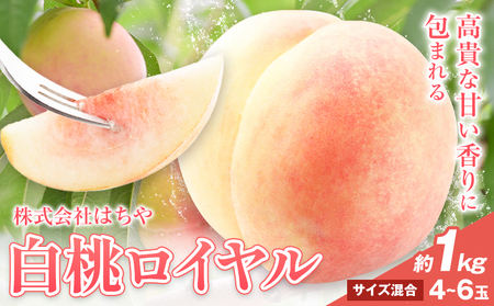 [先行予約]岡山白桃 等級 ロイヤル 約1kg[7月上旬‐8月下旬頃出荷]岡山県 浅口市 株式会社 はちや フルーツ モモ[配送不可地あり]