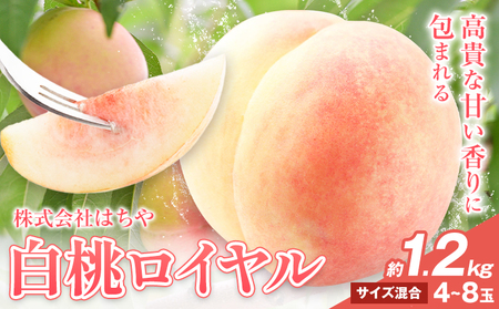 �y��s�\��z���R���� ���� ���C���� ��1.2kg�s7����{�]8�����{���o�ׁt���R�� ����s ������� �͂��� �t���[�c �����y�z���s�n����z