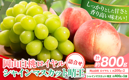 �y2026�N��s�\��z���R���Y ���R���� ���C���� L�` 3L�T�C�Y �V���C���}�X�J�b�g �v 800g �l���� ������� �͂���s7����{�]8�����{���o�ׁt�y�z���s�n�悠��z