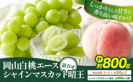 [先行予約]岡山県産 岡山白桃 エース L〜3Lサイズ シャインマスカット 計 800g 詰合せ 株式会社 はちや[7月上旬-8月下旬頃出荷][配送不可地域あり]