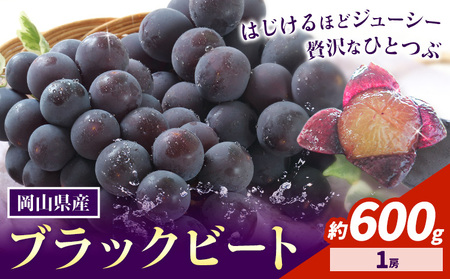 [先行予約]岡山県産 ぶどう ブラックビート 600g 1房 株式会社 はちや[8月上旬-9月上旬頃出荷][配送不可地域あり]