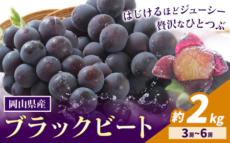 �y��s�\��z���R���Y �Ԃǂ� �u���b�N�r�[�g �v 2kg 3�[ �` 6�[ ������� �͂���s8����{-9����{���o�ׁt�y�z���s�n�悠��z