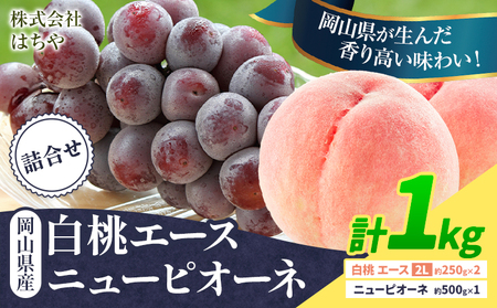 �y��s�\��z���R���Y ���R���� �G�[�X �j���[�s�I�[�l �v 1kg �l���� ������� �͂���s7����{�]8�����{���o�ׁt�y�z���s�n�悠��z