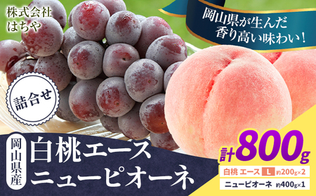 [先行予約]岡山県産 岡山白桃 エース ニューピオーネ 計 800g 詰合せ 株式会社 はちや[7月上旬‐8月下旬頃出荷][配送不可地域あり]