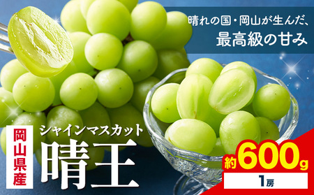 [先行予約] 岡山県産 シャインマスカット 晴王 600g 1房 株式会社はちや[7月上旬‐8月下旬頃出荷][配送不可地域あり]