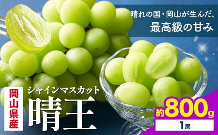 [2026年発送] シャインマスカット 晴王 800g 1房 株式会社はちや シャインマスカット