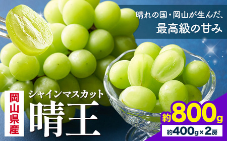 【2026年発送】  シャインマスカット 晴王  800g 2房 株式会社はちや シャインマスカット