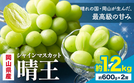 【2026年発送】  シャインマスカット 晴王  1.2kg  株式会社はちや シャインマスカット