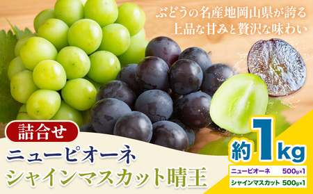 【先行予約】 岡山県産 シャインマスカット「晴王」とニューピオーネ 計 1kg 株式会社はちや《8月下旬‐9月下旬頃頃出荷》【配送不可地域あり】