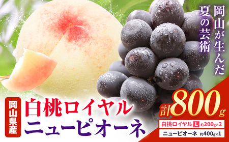 [先行予約]岡山県産 白桃ロイヤル ニューピオーネ 詰合せ 選べる 計800g 株式会社はちや[7月上旬‐8月下旬頃出荷][配送不可地域あり]