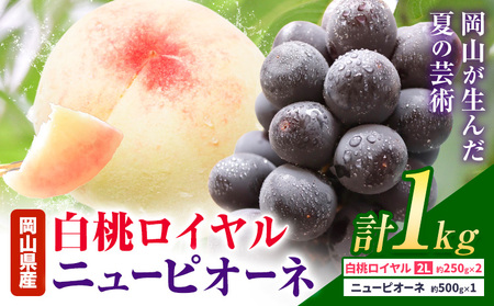 白桃 ロイヤル ニューピオーネ 詰合せ 計1kg 株式会社はちや【配送不可地域あり】
