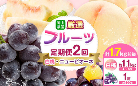 �y��s�\��z���R���Y ���I �t���[�c ����� 2�� ���� �j���[�s�I�[�l �v1.7kg�O�� ������З��s2026�N7����{-9�������o�ׁt ���R�� ����s ���R���Y ���� �� �j���[�s�I�[�l �햳�� �{ �t���[