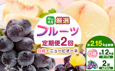 �y��s�\��z���R���Y ���I �t���[�c ����� 2�� ���� �j���[�s�I�[�l �v2.15kg�O�� ������З��s2026�N7����{-9�������o�ׁt ���R�� ����s ���R���Y ���� �� �j���[�s�I�[�l �햳�� �{ �t��