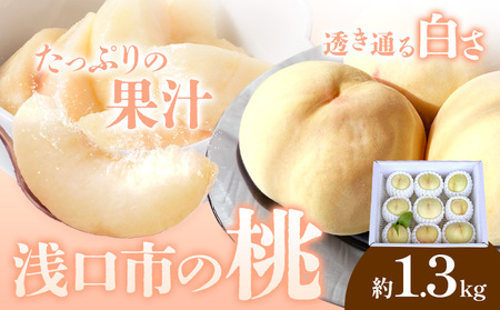 [2026年発送]浅口市産 白桃 約1.3kg(5〜6玉) SUEHIRO農園[2026年6月下旬-8月下旬頃出荷]