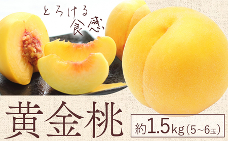 [先行予約]黄金桃 1.5kg 5〜6玉 桃茂実苑[2026年8月中旬-9月上旬頃出荷][配送不可地域あり]