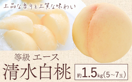 [先行予約]清水 白桃 等級 エース 約1.5kg 5〜7玉入り桃茂実苑[7月中旬-8月上旬頃出荷][配送不可地域あり]