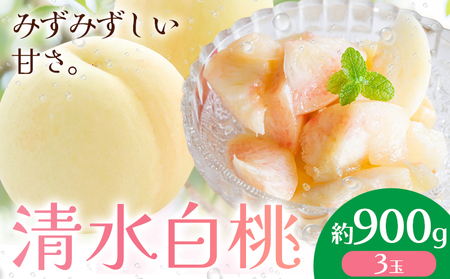 [先行予約]清水白桃 約900g 桃茂実苑[7月中旬-8月上旬頃出荷][配送不可地域あり]
