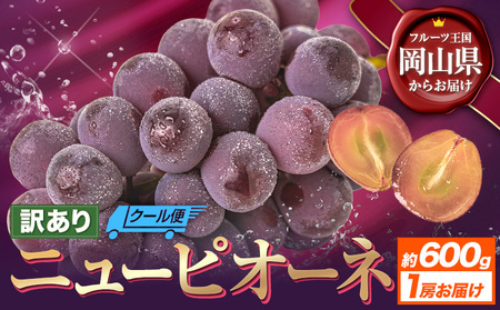 訳あり ニューピオーネ 約600g[8月下旬-10月中旬頃出荷]ピオーネ