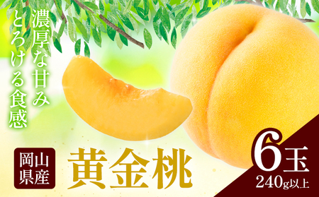 岡山県産 黄金桃 6玉 ホーティカルチャー神島[配送不可地域あり]