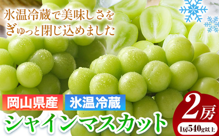 【発送先行予約】岡山県産 冷蔵 シャインマスカット 2房 (540g以上) 有限会社ホーティカルチャー神島《11月下旬-12月上旬頃出荷》岡山県 浅口市 マスカット ぶどう 葡萄 氷温冷蔵 果物 フルーツ【配送不可地域あり】