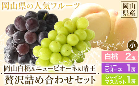 [先行予約]岡山白桃 & シャインマスカット 晴王 & ニューピオーネ セット 小 岡山白桃2玉(ロイヤル220g以上) シャインマスカット1房(380g以上) ニューピオーネ1房(380g) 有限会社ホーティカルチャー神島[7月上旬-8月上旬頃出荷]岡山県 浅口市 ロイヤル 桃 もも 晴王 ぶどう 詰め合わせ[配送不可地域あり]