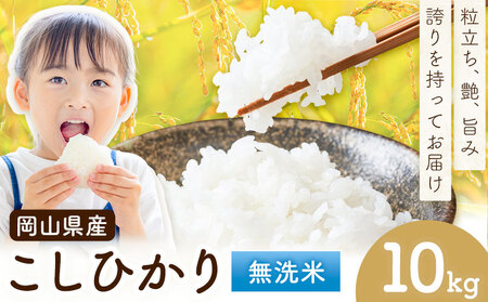 岡山県産 こしひかり 10kg(5kg×2袋) 無洗米 全農パールライス株式会社[30日以内に出荷予定(土日祝除く)] 岡山県 浅口市 送料無料 こめ 無洗米 コシヒカリ