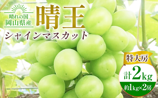ぶどう シャインマスカット晴王[特大房]約1kg×2房 計2kg 橋田商店有限会社 シャインマスカット